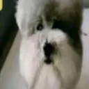 @1antonxo1