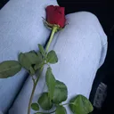 @x_ela67