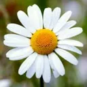 @user754773296308