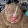 babysnala
