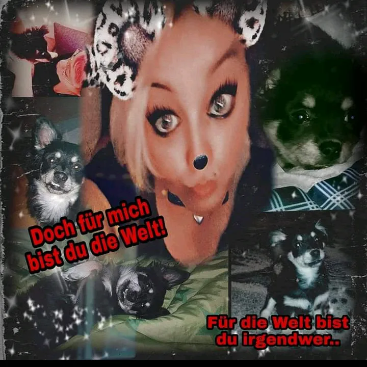 @donatellojenny