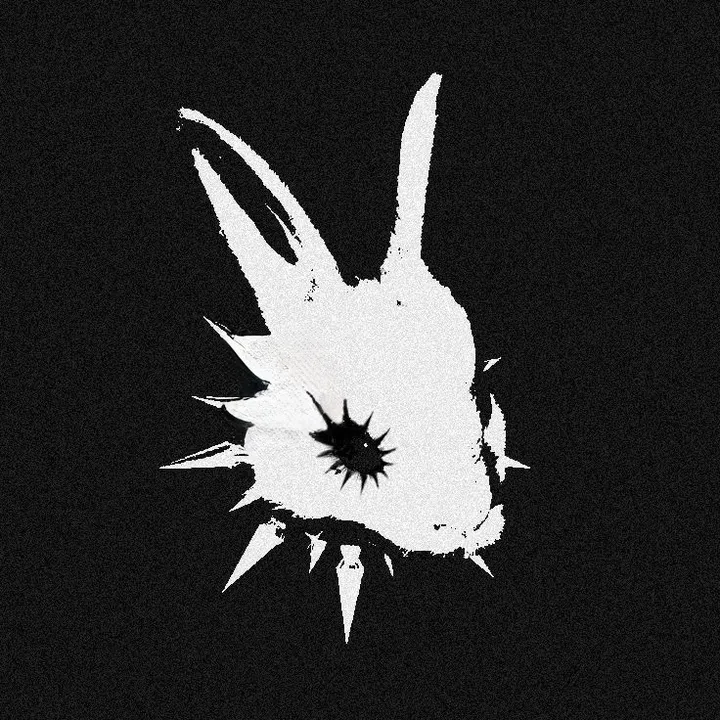 hypsolina