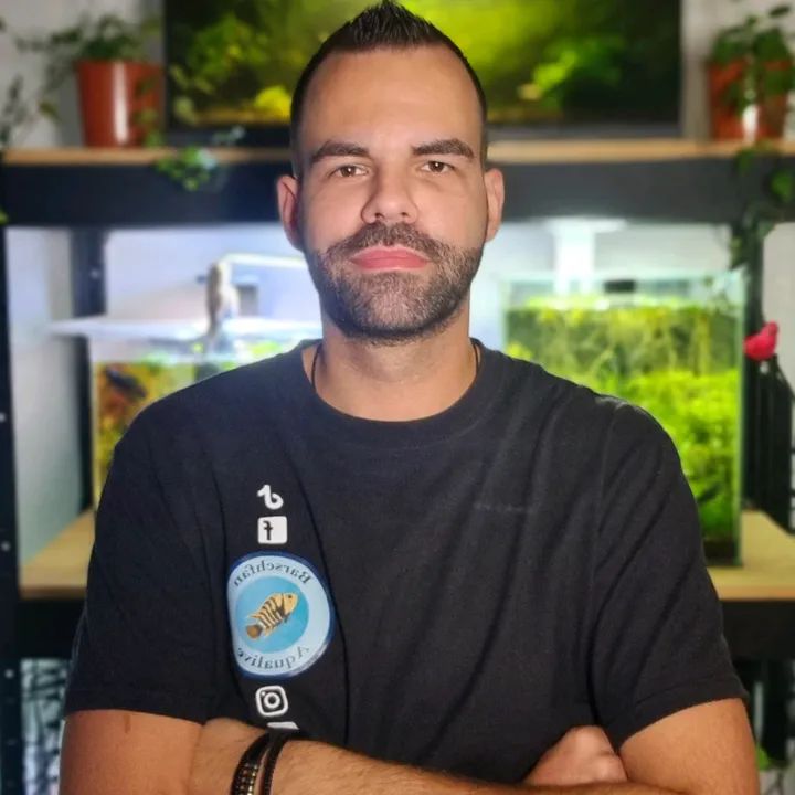barschfan_aqualive