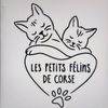 lespetitsfelinsdecorse