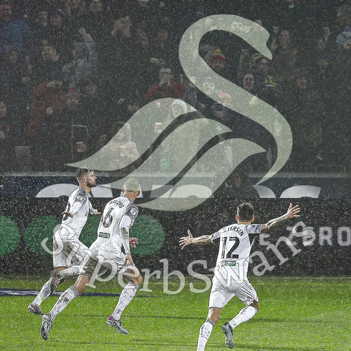 superbswans