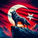 @aksaray629