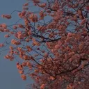 @szsndzk0402211605