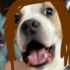 dovahkriid0001