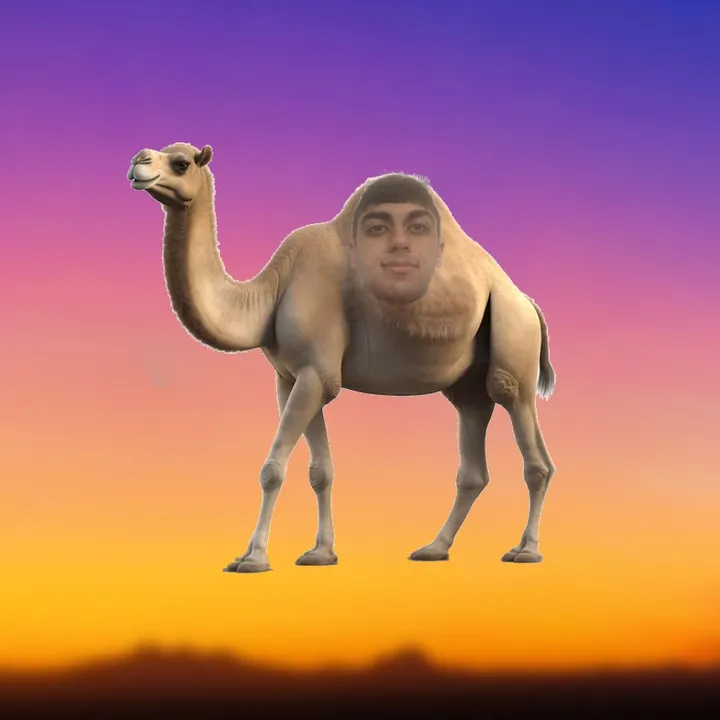 camelskits_memes