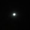 miyagehin7