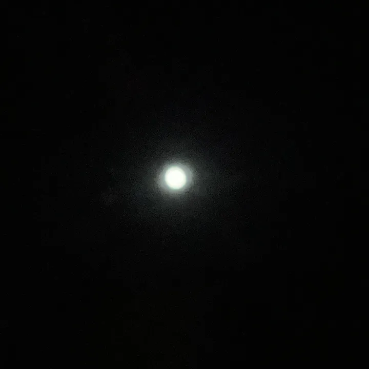 miyagehin7