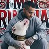 daxter_the_bulldog
