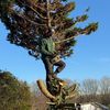 gardenstyleno1