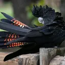 @2kakadu2