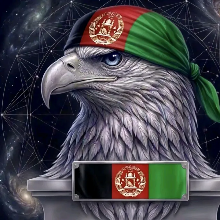 rafi.qurahisi