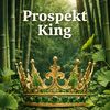 prospektking