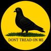 sigeonpigeon