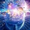 brainblitz0