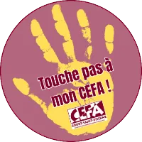 @cefacse