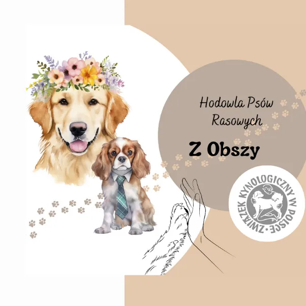 @hodowlazobszy