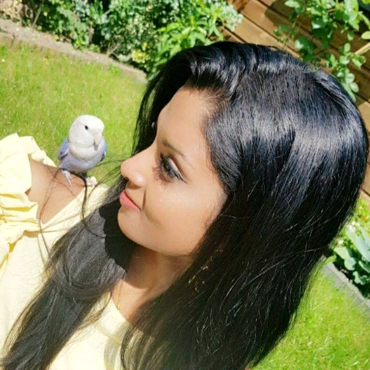 sahaanaschannel