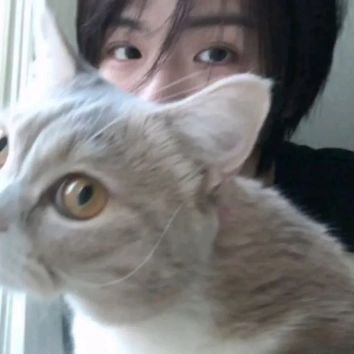 kinnmeowri