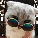 @ktm104_qualcuno