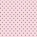 @sundazed.space