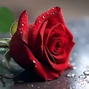 @786.w.parveen