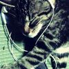 asher_123..4