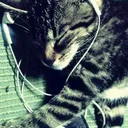 @asher_123..4
