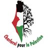 charleroi_palestine