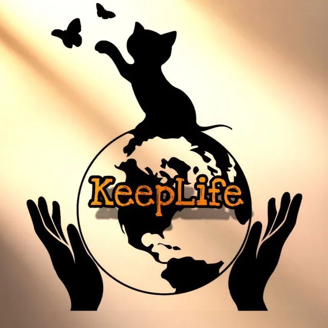 keep_lifee