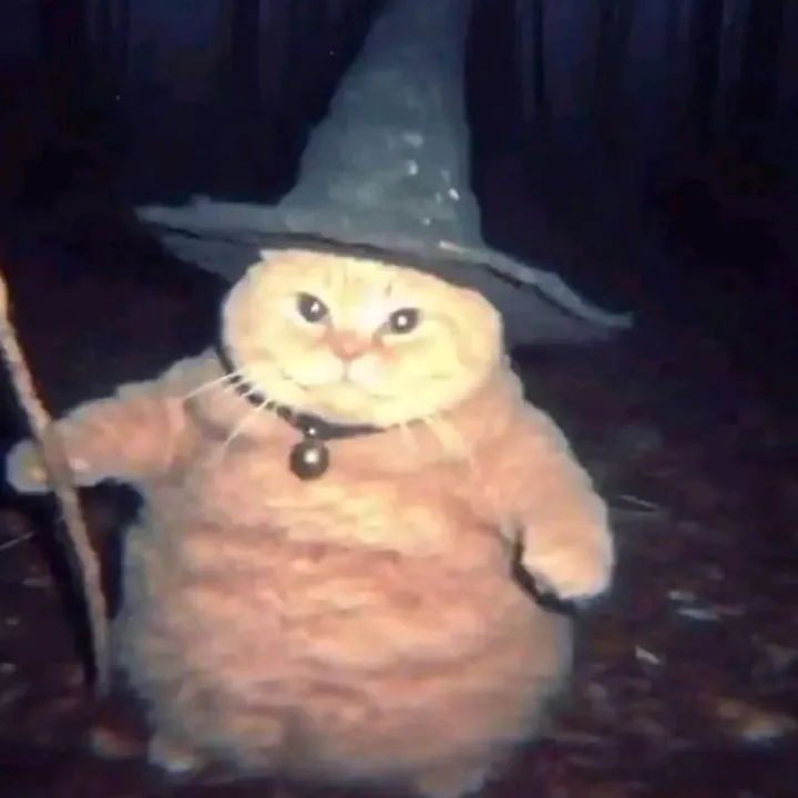 dancintillidropdead