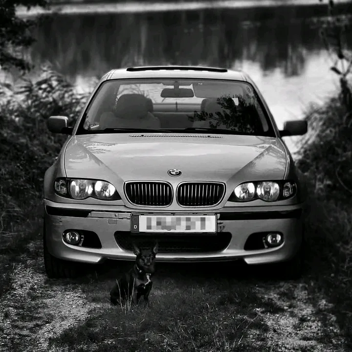 @francesco_d.03