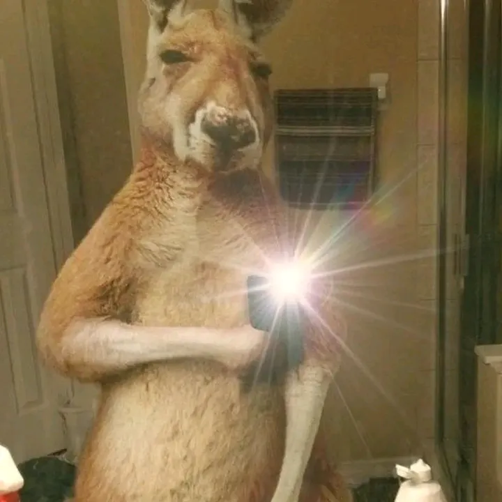 @xexxt