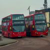 dandantransport