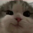 @insp0.aesthetic
