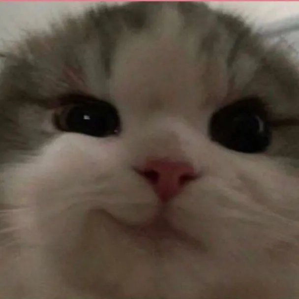 @insp0.aesthetic