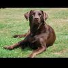 denise220919
