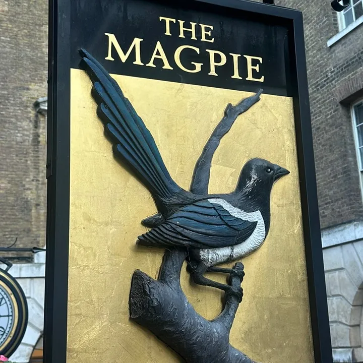 themagpie.livstreet