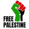 freefalastin786