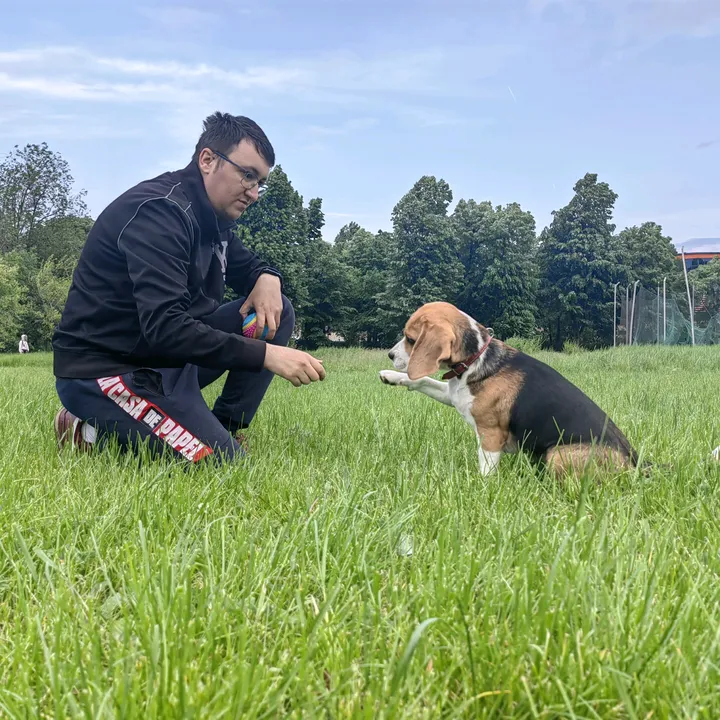 beagle.adventures