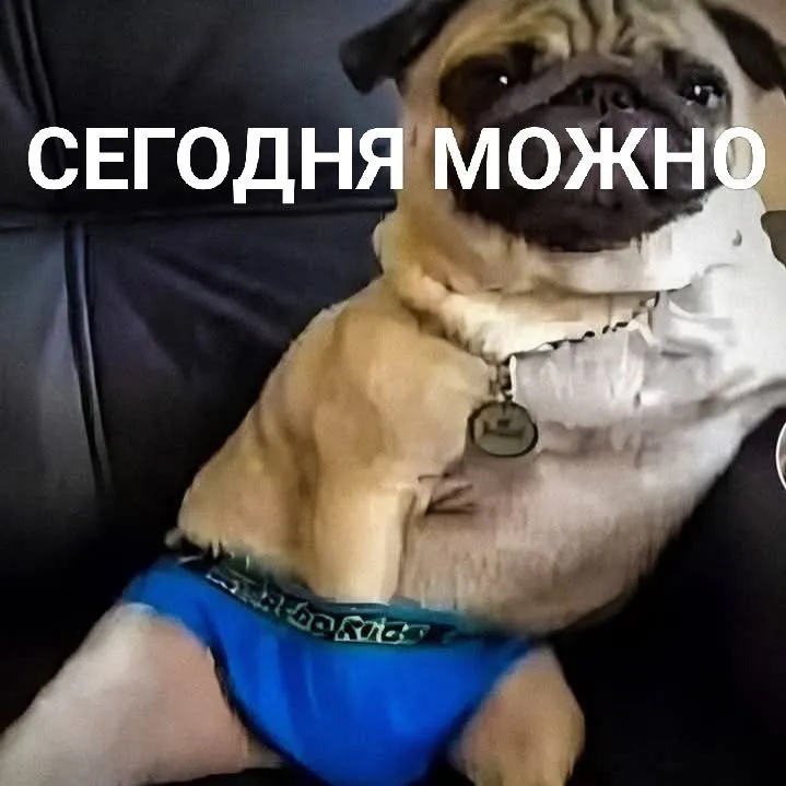 mopssyraev