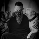 @daxter_the_bulldog