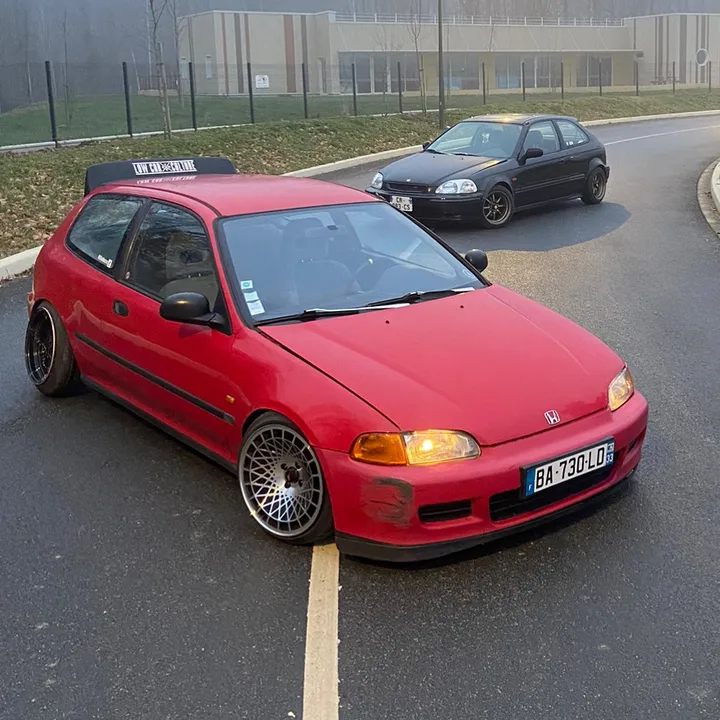 .natsirt_