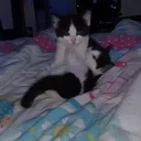 @ratingstuff63