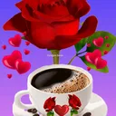 @grono12