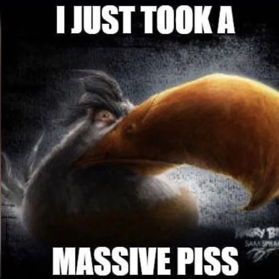 @dingleberryproductions1