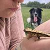 pawsandcreepycrawlers